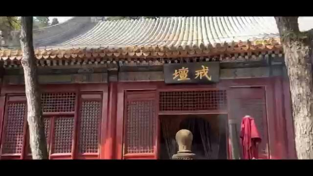 文明旅游,北京与我们同行