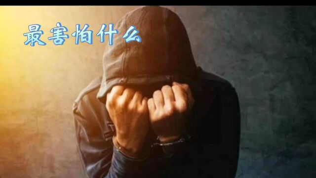 最害怕什么