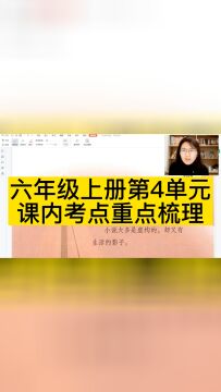 六年级上册第4单元课内考点重点梳理