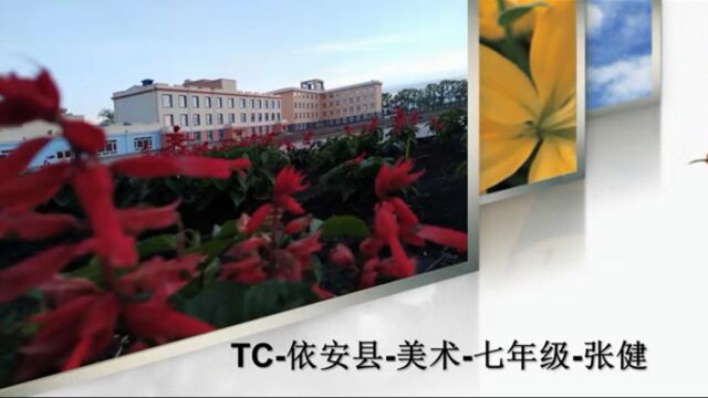 TC依安县美术七年级张健