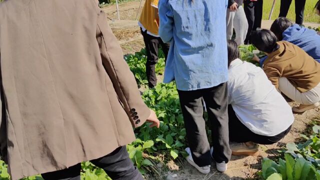 农学生的日常就是在教室和大田里奔忙