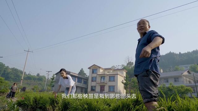 终评出炉,50件作品带你感受大美南充!