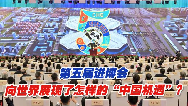 第五届进博会向世界展现了怎样的“中国机遇”?