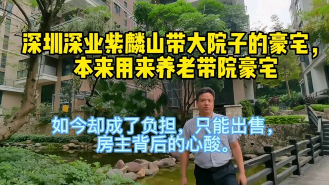 深圳深业紫麟山带院豪宅,本来用来养老带院豪宅,如今却成了负担,只能出售,房主背后的心酸.