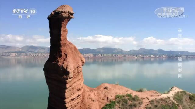 今日州庆,祝福临夏!让我们一起传递这份简历→