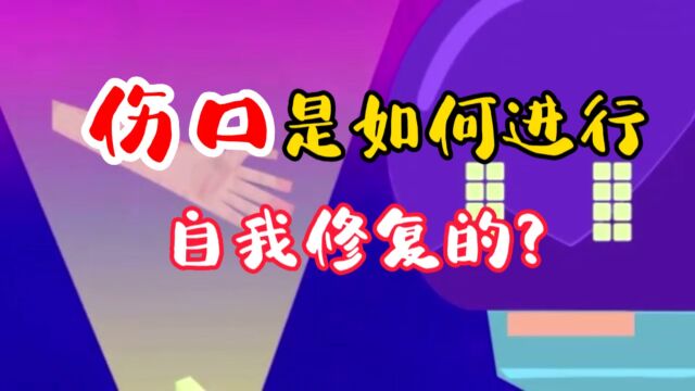 伤口是如何进行自我修复的?看完这个视频你就知道了.