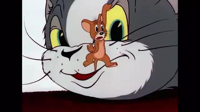 《风车车和假老练》猫鼠争窝s1e33