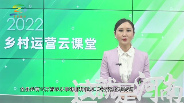 河南省推进乡村与振兴:乡村运营师云课堂(下)