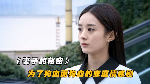 妻子的秘密:为了狗血而狗血的家庭情感剧,女主真的太憋屈了