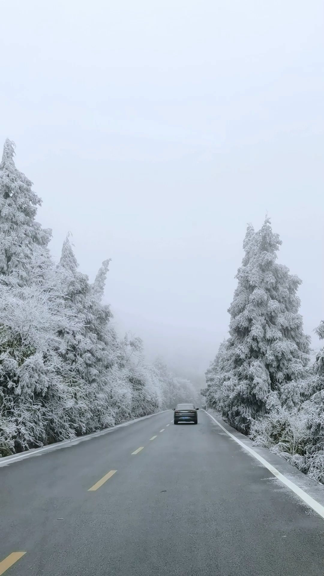 2022年12月2日重庆武隆仙女山银妆素裹