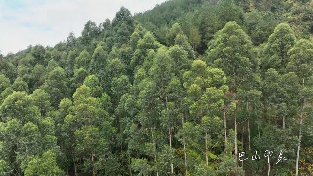 渠县三汇镇:难得有阳光又去老八山 结果太阳没了 看到漂亮的渠江第一湾