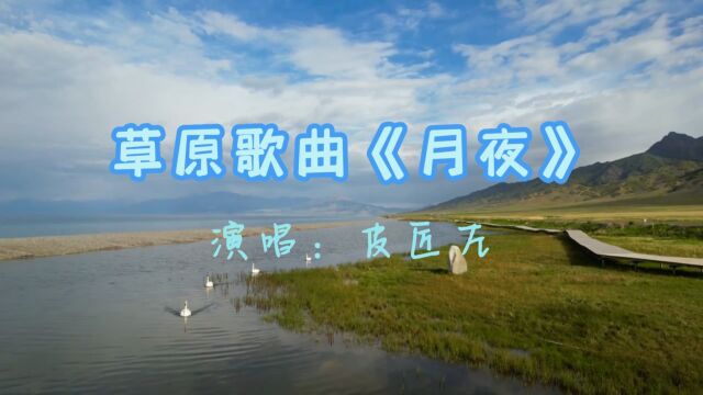 草原歌曲《月夜》演唱:皮匠左 唱得如痴如醉,深情浪漫的歌声醉人心田.