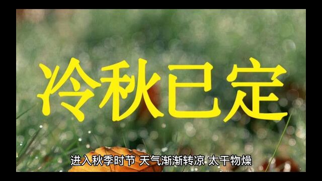 天气渐冷,身体进补的最佳方案!