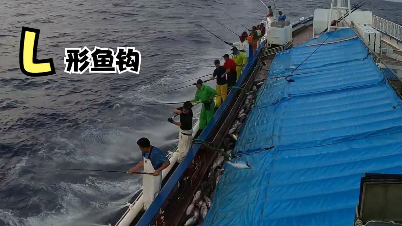 深海打窝海钓鲣鱼,用L型鱼钩直接钩鱼几秒钟一条,你们能看懂吗_高清1080P在线观看平台_腾讯视频