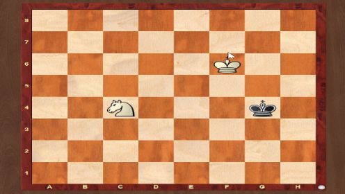 国际象棋单后杀王