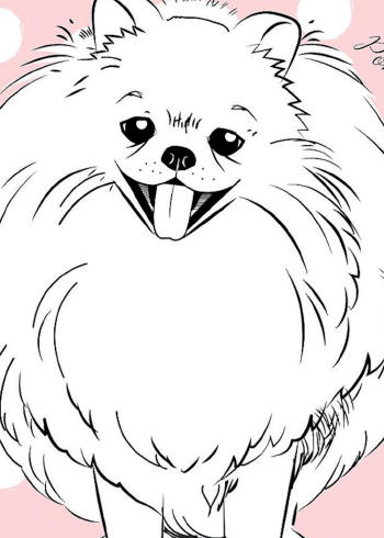 男子6800元买博美3天死亡起诉3倍赔偿