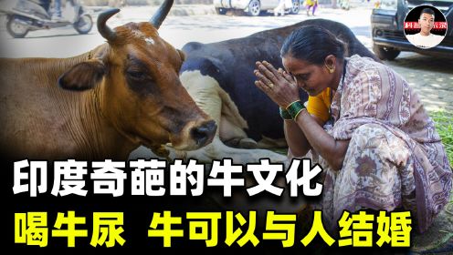 印度人的牛崇拜：牛尿治百病，牛粪造万物，甚至牛还可与人结婚？