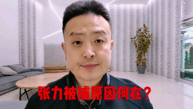 张力被捕原因何在?