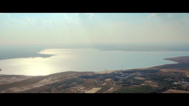 生物多样性优秀案例(4):陕西红碱淖湿地湖心岛生境修复与遗鸥种群保护