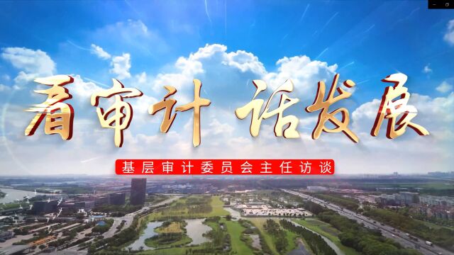 看审计话发展丨以审计护航“新大兴、新国门”建设