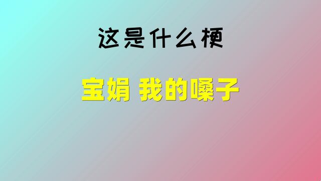 【这是什么梗】宝娟 我的嗓子