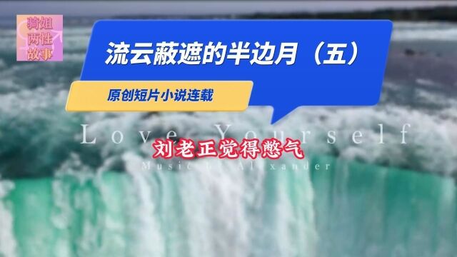 短篇小说连载:流云蔽遮的半边月(五)