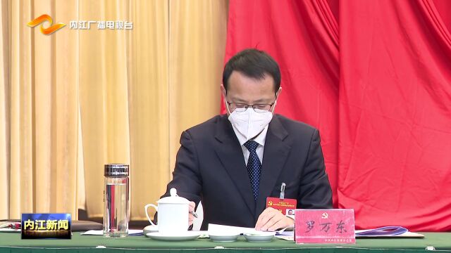 中国共产党内江市第八届委员会第五次全体会议决议