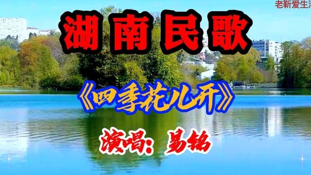 湖南民歌:《四季花儿开》