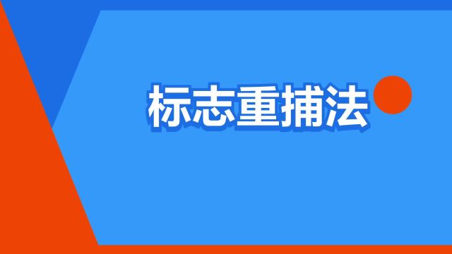 “标志重捕法”是什么意思?