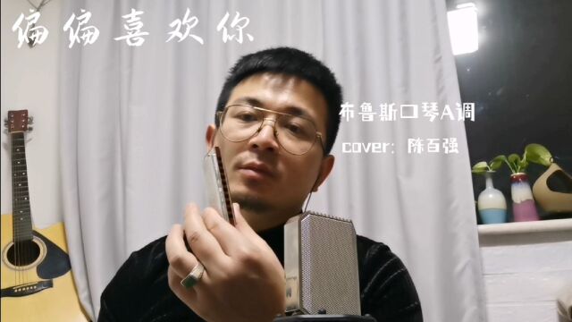 永远的经典《偏偏喜欢你》布鲁斯口琴演奏