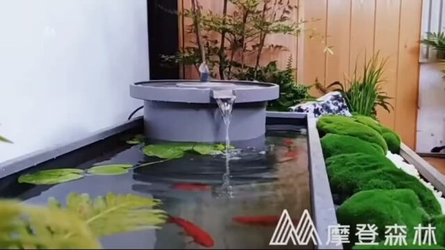 案例分享>>在家里也能实现小桥流水人家