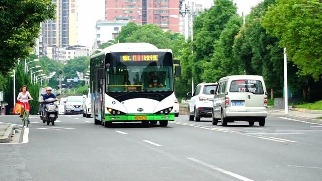 回湖南了 当然要看看咱这帅气的熊猫眼比亚迪K8啦!#湖南衡阳#比亚迪#安全出行 #交通安全 #文明出行