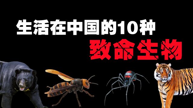 生活在中国的10种致命生物,最危险的其实就在我们身边!