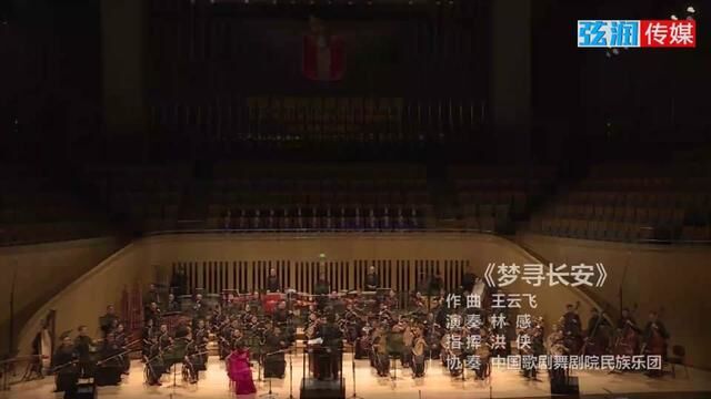 《梦寻长安》二胡演奏:林感 #国家大剧院 #民乐 #二胡 #弘扬国乐