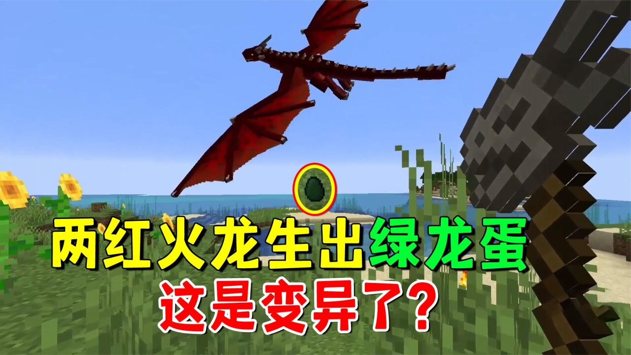 我的世界冰火传说100:两条红色火龙生出一个绿龙蛋,这是变异了?