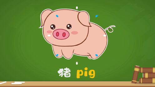 猪,可爱的小猪 pig   pig   pig