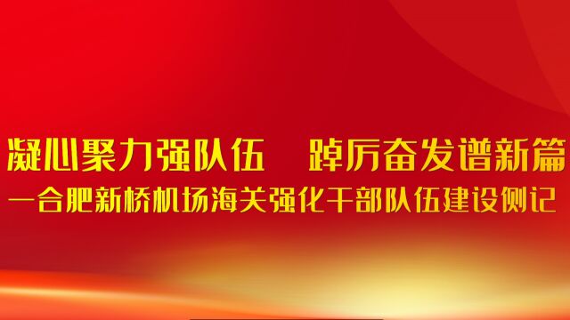 凝心聚力强队伍 踔厉奋发谱新篇 —合肥新桥机场海关强化干部队伍建设侧记