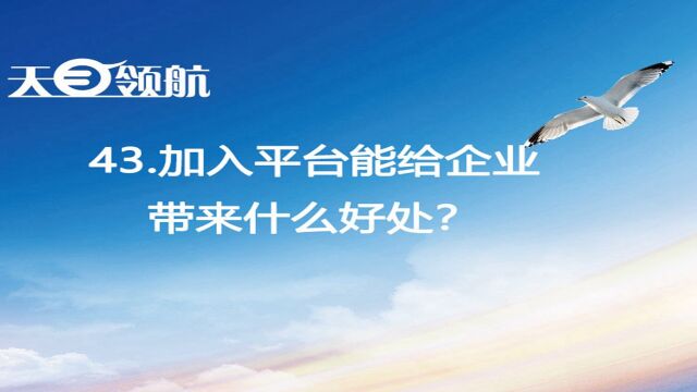 43.加入平台能给企业带来什么好处?