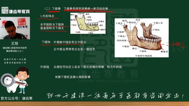 谦齿寒2023年口腔执业(含助理)医师资格考试——口腔解剖生理学