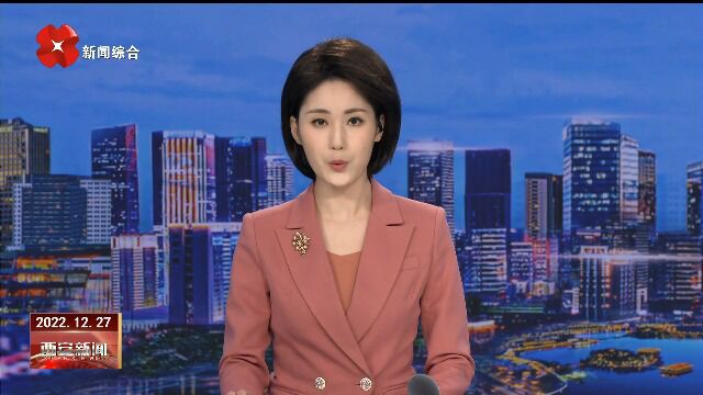 12.27 西安广播电视台 持续推进复工复产 地铁客流逐步回升