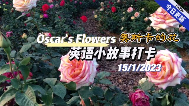 【英语小故事】2023/1/15 非常适合练听力口语的小故事.