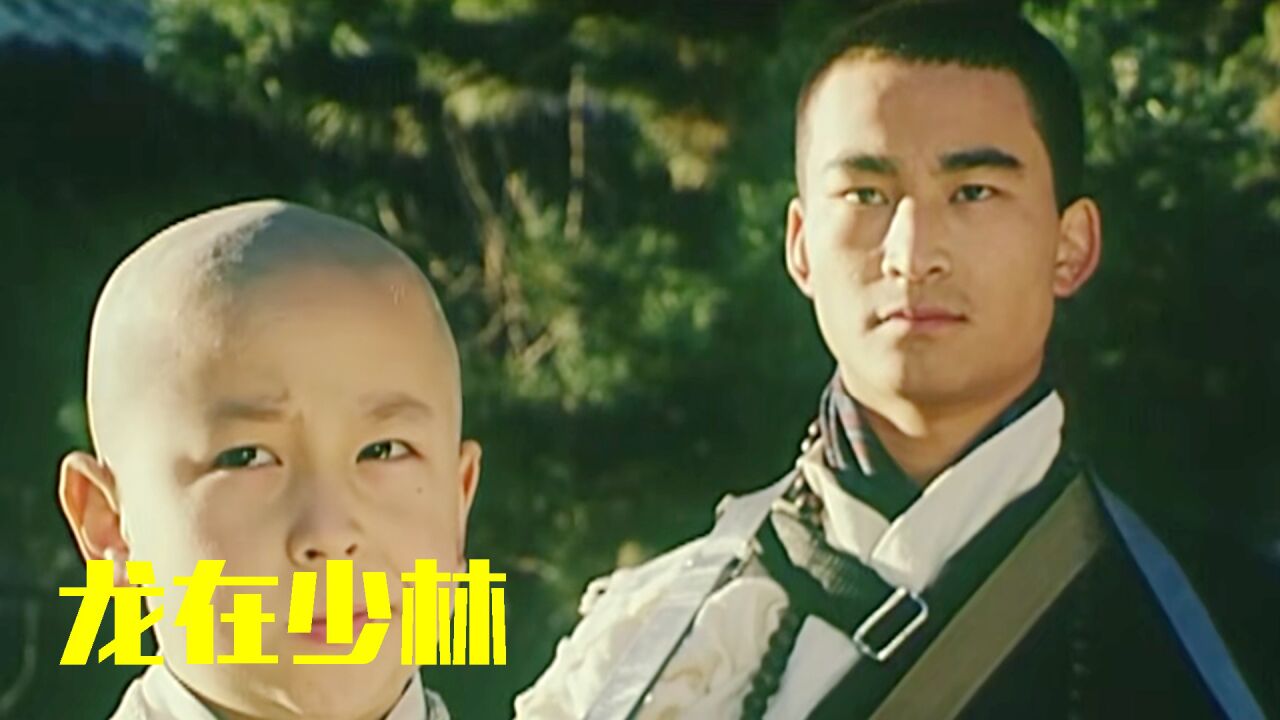 《龙在少林》小龙感受到佛缘的指引,向狄西而行!