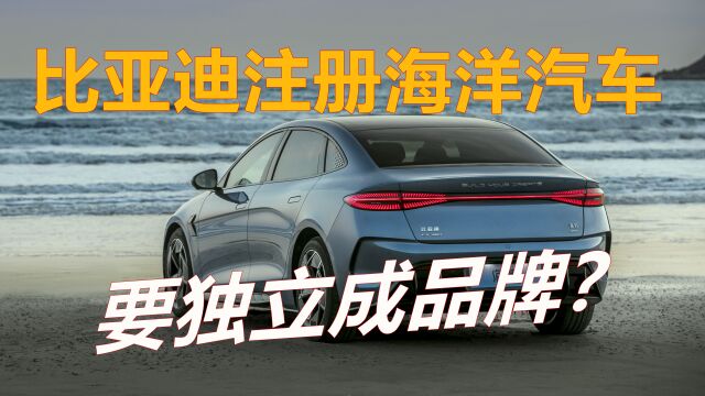 比亚迪注册海洋汽车,要独立成品牌?海鸥无伪谍照曝光