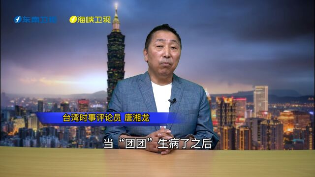 2022台海关键词丨唐湘龙批民进党当局对“团团”离世冷漠无情