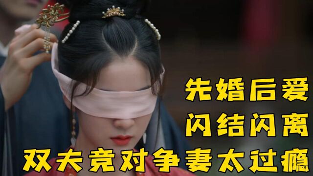 择君记:先婚后爱,闪结闪离,双夫竞对争妻太过瘾