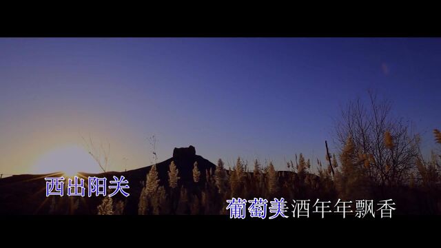 黄萍西出阳关 KTV(启飞七仙女)