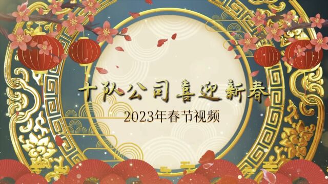 十队公司2023年春节视频