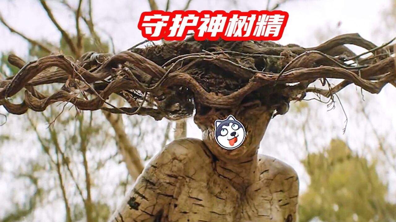 长相哇塞的树精，竟是守护弱者的神灵_高清1080P在线观看平台_腾讯视频