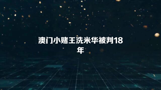 澳门小赌王洗米华判刑18年