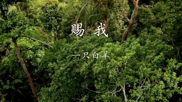 全网爆火的古风神曲《赐我》,独特的音色,让人忍不住单曲循环